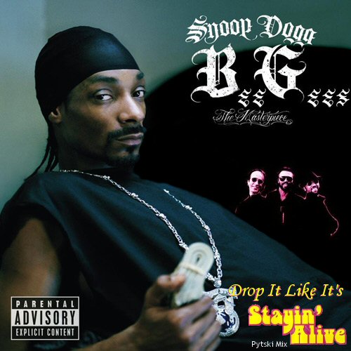 Cover art - Snoop Dogg vs Bee Gees